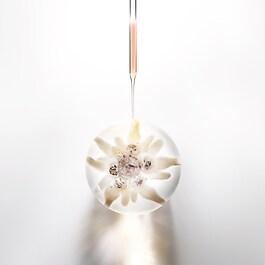 PDGY Cellglow Clarity Essence - Esencia ligera y refrescante